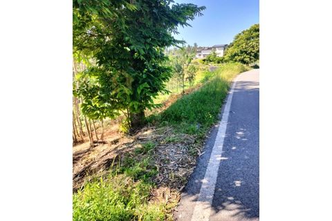 Terra a Luso, Aveiro, Luso - € 29.500 | Ref: SÒL_434 - foto 4