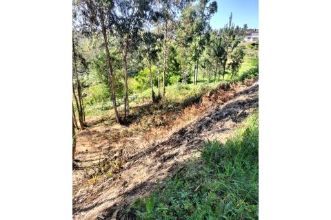Terra a Luso, Aveiro, Luso - € 29.500 | Ref: SÒL_434 - foto 7