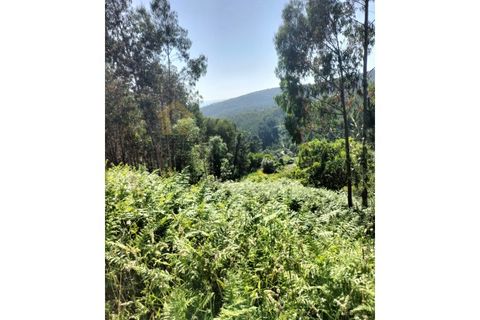 Terra a Luso, Aveiro, Luso - € 29.500 | Ref: SÒL_434 - foto 9