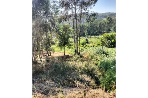 Terra a Luso, Aveiro, Luso - € 29.500 | Ref: SÒL_434 - foto 10