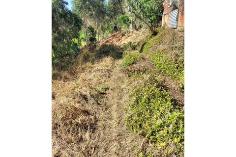 Terra a Luso, Aveiro, Luso - € 29.500 | Ref: SÒL_434 - foto 11