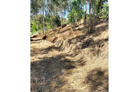 Terra a Luso, Aveiro, Luso - € 29.500 | Ref: SÒL_434 - foto 13