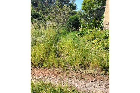 Terra a Luso, Aveiro, Luso - € 29.500 | Ref: SÒL_434 - foto 14