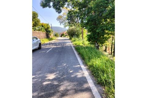 Terra a Luso, Aveiro, Luso - € 29.500 | Ref: SÒL_434 - foto 16