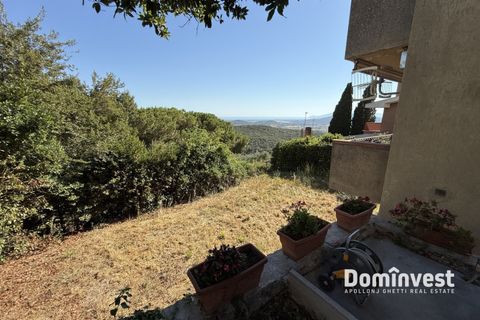 Villa i Capalbio, Grosseto, Capalbio - € 800.000 | Ref: V-187 - foto 16