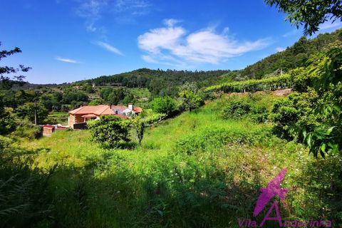 Helårsgrund i Amonde, Viana do Castelo, Amonde - € 100.000 | Ref: 43/2025 - foto 1
