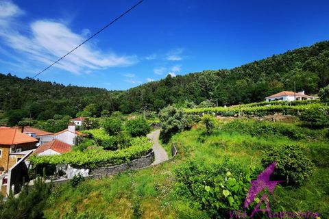 Helårsgrund i Amonde, Viana do Castelo, Amonde - € 100.000 | Ref: 43/2025 - foto 2
