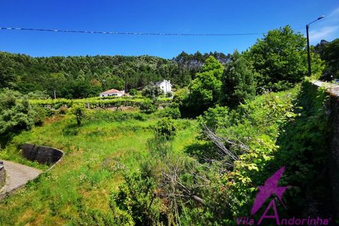 Helårsgrund i Amonde, Viana do Castelo, Amonde - € 100.000 | Ref: 43/2025 - foto 3