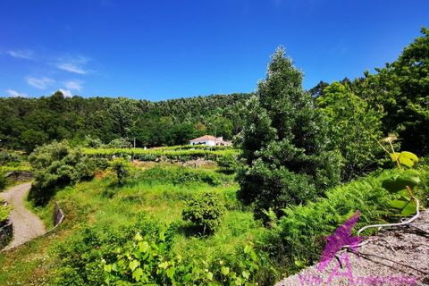 Helårsgrund i Amonde, Viana do Castelo, Amonde - € 100.000 | Ref: 43/2025 - foto 4