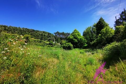 Helårsgrund i Amonde, Viana do Castelo, Amonde - € 100.000 | Ref: 43/2025 - foto 6