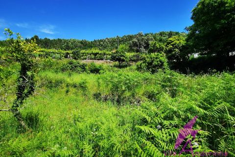 Helårsgrund i Amonde, Viana do Castelo, Amonde - € 100.000 | Ref: 43/2025 - foto 7