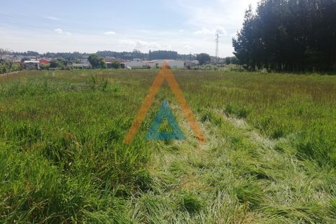 Helårsgrund i Maceda, Aveiro, Maceda - € 82.000 | Ref: SÒL_1683 - foto 5
