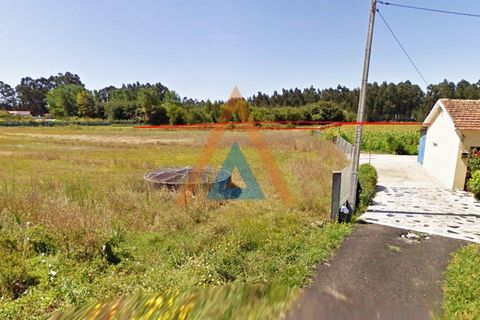 Helårsgrund i Maceda, Aveiro, Maceda - € 82.000 | Ref: SÒL_1683 - foto 6