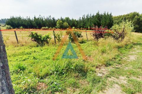 Helårsgrund i Maceda, Aveiro, Maceda - € 82.000 | Ref: SÒL_1683 - foto 7