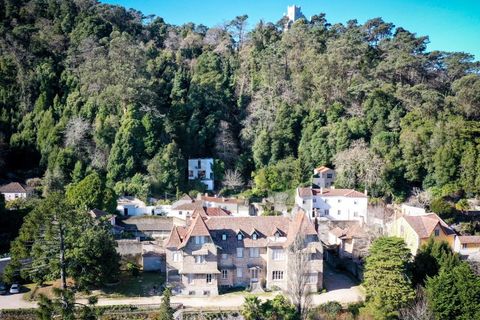 Farm i Sintra, Lisbon, Sintra - € 16.500.000 | Ref: MAS_70 - foto 4