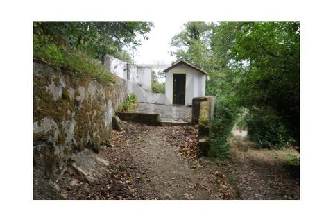 Farm i Sintra, Lisbon, Sintra - € 16.500.000 | Ref: MAS_70 - foto 15