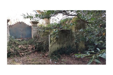 Farm i Sintra, Lisbon, Sintra - € 16.500.000 | Ref: MAS_70 - foto 16