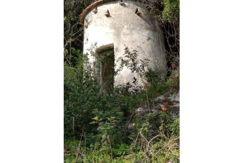 Farm i Sintra, Lisbon, Sintra - € 16.500.000 | Ref: MAS_70 - foto 17