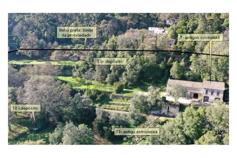 Farm i Sintra, Lisbon, Sintra - € 16.500.000 | Ref: MAS_70 - foto 19