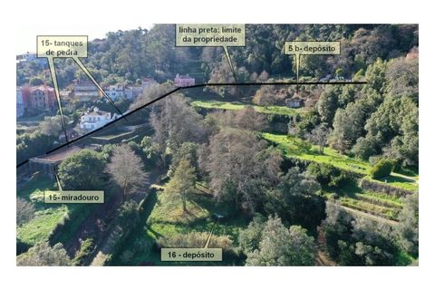 Farm i Sintra, Lisbon, Sintra - € 16.500.000 | Ref: MAS_70 - foto 20
