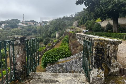 Farm i Sintra, Lisbon, Sintra - € 16.500.000 | Ref: MAS_70 - foto 1