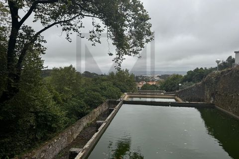 Farm i Sintra, Lisbon, Sintra - € 16.500.000 | Ref: MAS_70 - foto 21