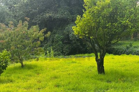 Farm i Sintra, Lisbon, Sintra - € 16.500.000 | Ref: MAS_70 - foto 22