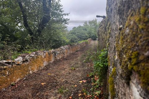 Farm i Sintra, Lisbon, Sintra - € 16.500.000 | Ref: MAS_70 - foto 23