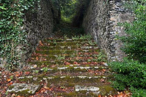 Farm i Sintra, Lisbon, Sintra - € 16.500.000 | Ref: MAS_70 - foto 25