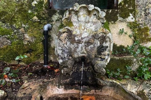 Farm i Sintra, Lisbon, Sintra - € 16.500.000 | Ref: MAS_70 - foto 26