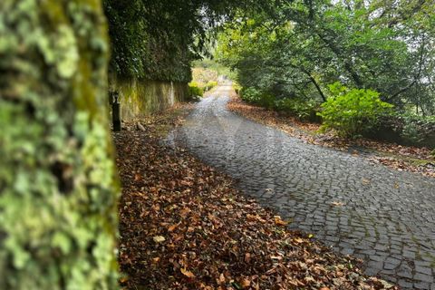 Farm i Sintra, Lisbon, Sintra - € 16.500.000 | Ref: MAS_70 - foto 27