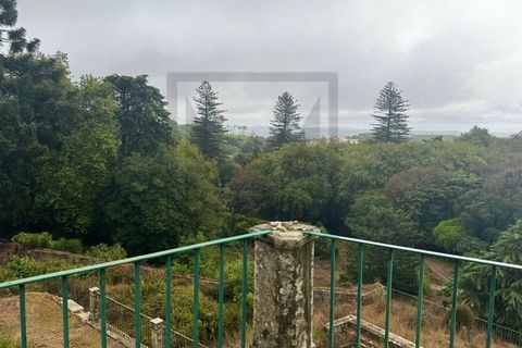 Farm i Sintra, Lisbon, Sintra - € 16.500.000 | Ref: MAS_70 - foto 28