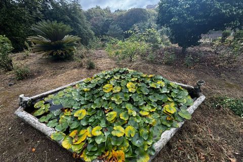 Farm i Sintra, Lisbon, Sintra - € 16.500.000 | Ref: MAS_70 - foto 35