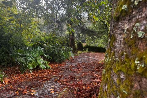 Farm i Sintra, Lisbon, Sintra - € 16.500.000 | Ref: MAS_70 - foto 38