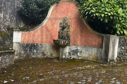 Farm i Sintra, Lisbon, Sintra - € 16.500.000 | Ref: MAS_70 - foto 39