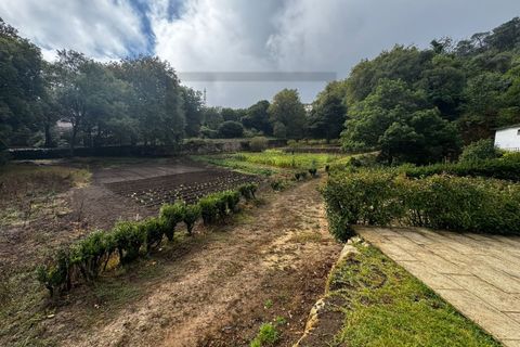 Farm i Sintra, Lisbon, Sintra - € 16.500.000 | Ref: MAS_70 - foto 40
