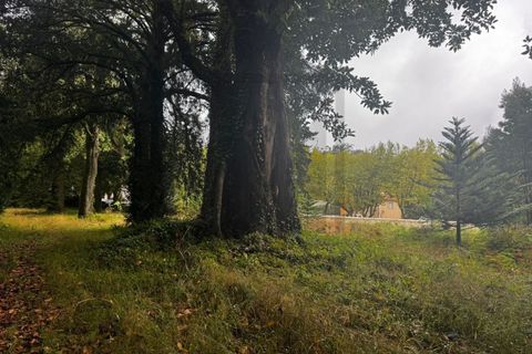 Farm i Sintra, Lisbon, Sintra - € 16.500.000 | Ref: MAS_70 - foto 41