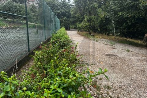 Farm i Sintra, Lisbon, Sintra - € 16.500.000 | Ref: MAS_70 - foto 44