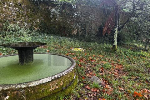 Farm i Sintra, Lisbon, Sintra - € 16.500.000 | Ref: MAS_70 - foto 45