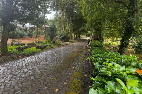 Farm i Sintra, Lisbon, Sintra - € 16.500.000 | Ref: MAS_70 - foto 46