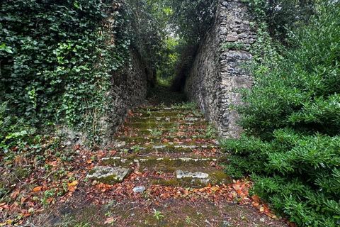 Farm i Sintra, Lisbon, Sintra - € 16.500.000 | Ref: MAS_70 - foto 47