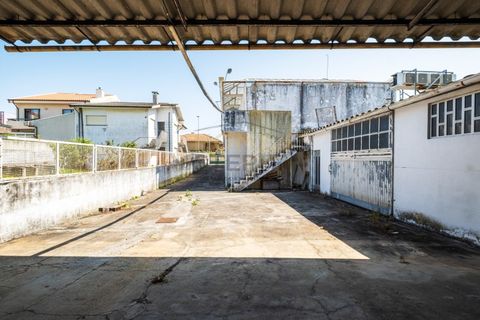 Helårsgrund i Canidelo, Porto, Canidelo - € 1.000.000 | Ref: PAR_390 - foto 17