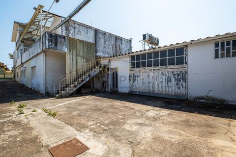 Helårsgrund i Canidelo, Porto, Canidelo - € 1.000.000 | Ref: PAR_390 - foto 18
