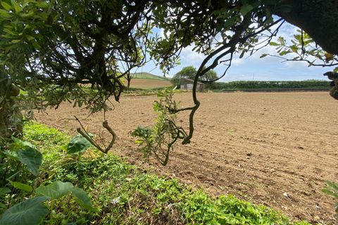 Terra a Lagoa, Sao Miguel, Lagoa - € 139.000 | Ref: 1360 - foto 8