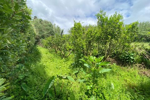 Terra a Lagoa, Sao Miguel, Lagoa - € 139.000 | Ref: 1360 - foto 10