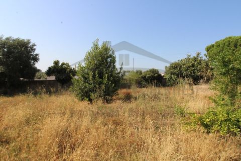 Villa i Moncarapacho, Faro, Moncarapacho - € 450.000 | Ref: HAB573 - foto 23