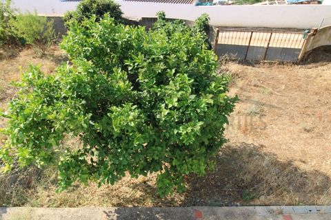 Villa i Moncarapacho, Faro, Moncarapacho - € 450.000 | Ref: HAB573 - foto 32