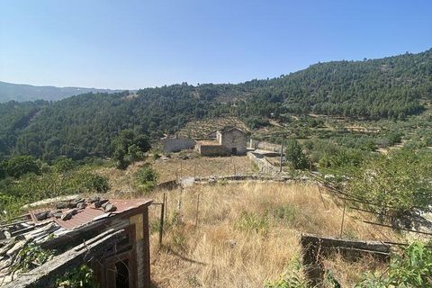 Erhvervsejendom i Tabuaco, Viseu, Tabuaco - € 130.000 | Ref: 125880 - foto 13