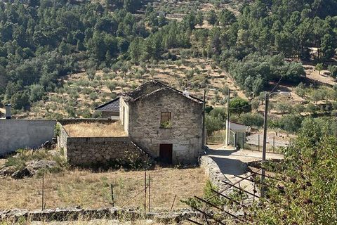 Erhvervsejendom i Tabuaco, Viseu, Tabuaco - € 130.000 | Ref: 125880 - foto 15