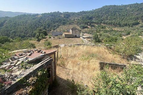 Erhvervsejendom i Tabuaco, Viseu, Tabuaco - € 130.000 | Ref: 125880 - foto 16